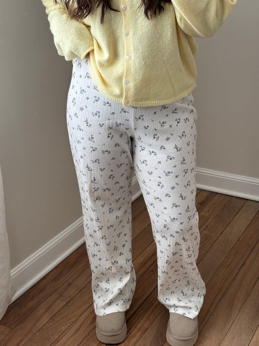 COASTAL BLOOM LOUNGE PLANTS