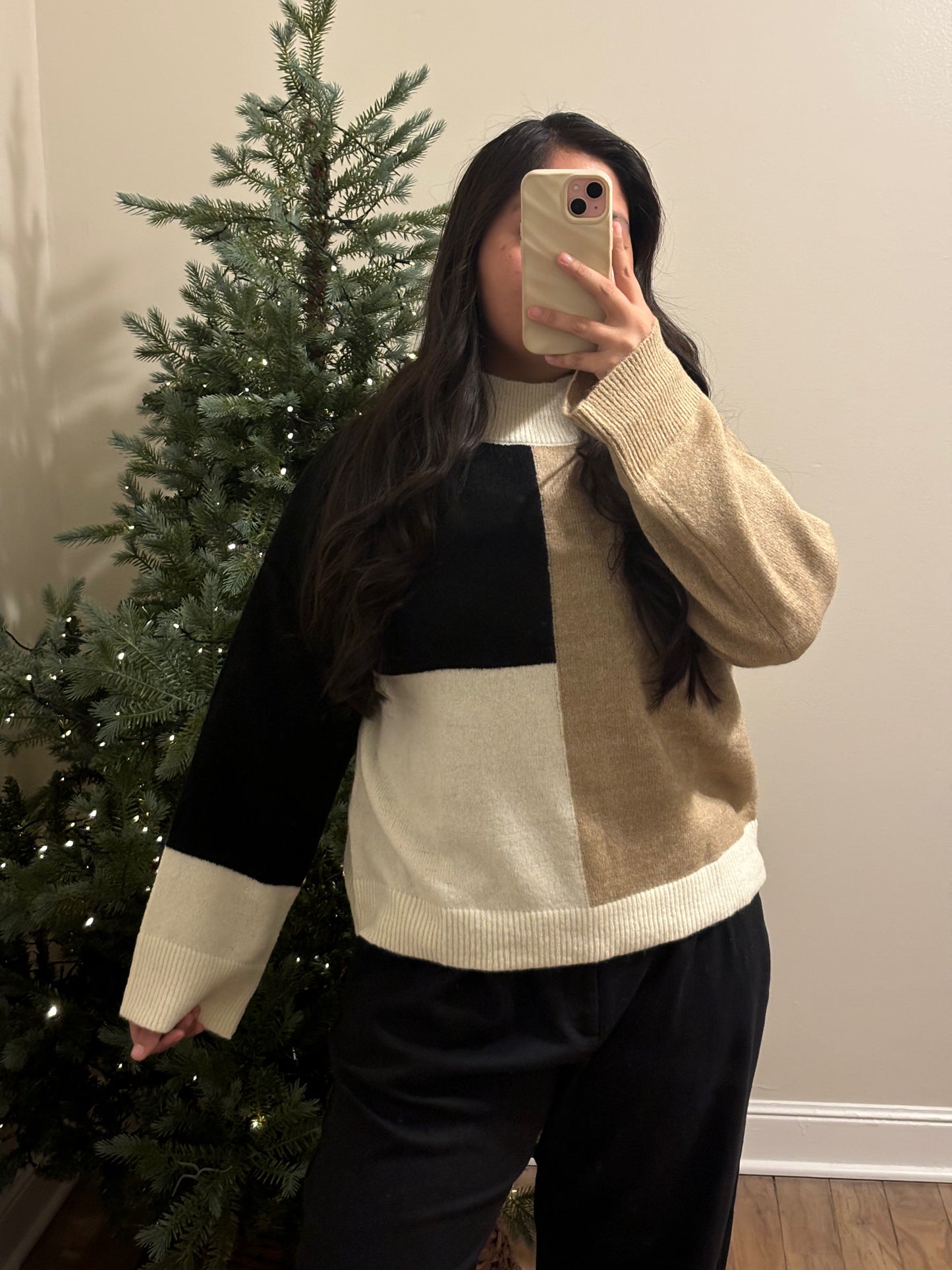 Mock Neck Colorbock Sweater